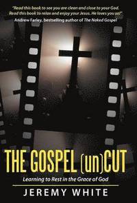 bokomslag The Gospel Uncut