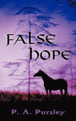 bokomslag False Hope