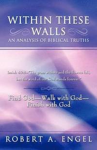 bokomslag Within These Walls an Analysis of Biblical Truths