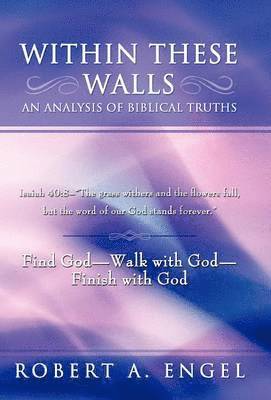 bokomslag Within These Walls an Analysis of Biblical Truths