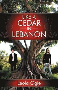 bokomslag Like A Cedar In Lebanon