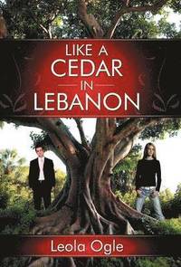 bokomslag Like A Cedar In Lebanon