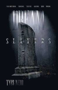 bokomslag Dream Slayers