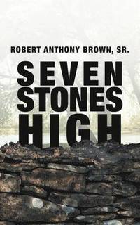 bokomslag Seven Stones High