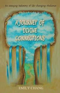 bokomslag Journey of Divine Connections