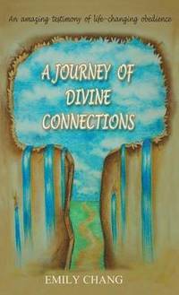 bokomslag A Journey of Divine Connections