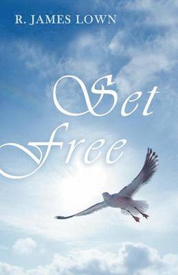 bokomslag Set Free