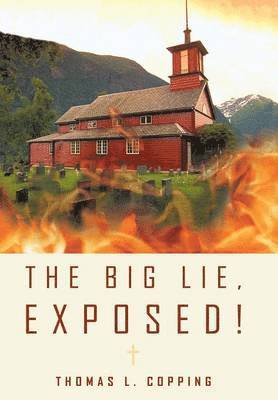 bokomslag Big Lie, Exposed!