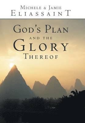 bokomslag God's Plan and the Glory Thereof