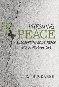 bokomslag Pursuing Peace