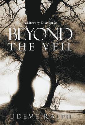 bokomslag Beyond the Veil