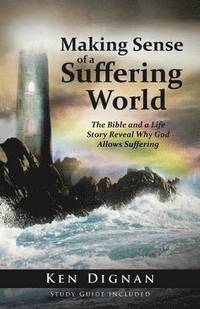bokomslag Making Sense of a Suffering World