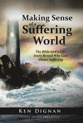 Making Sense of a Suffering World 1