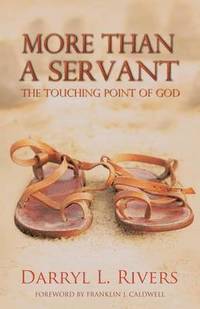 bokomslag More Than a Servant