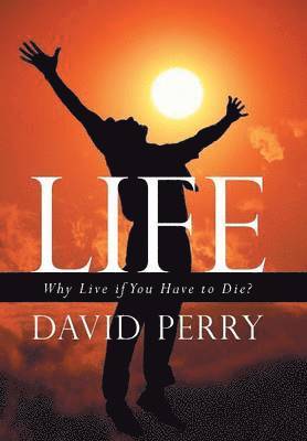 David Perry - Life, Inbunden