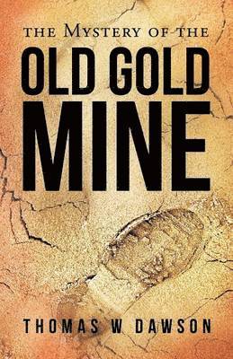 bokomslag Mystery of the Old Gold Mine
