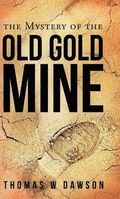 Mystery of the Old Gold Mine 1