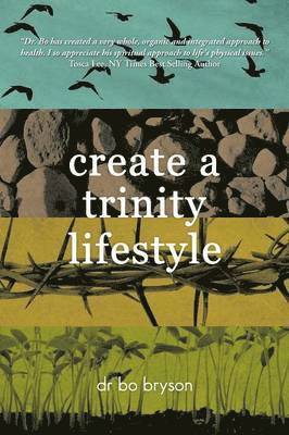 Create a Trinity Lifestyle 1