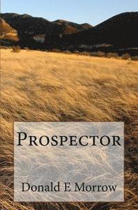 bokomslag Prospector