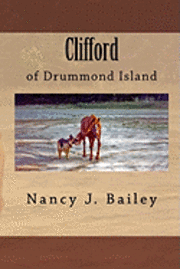 bokomslag Clifford of Drummond Island