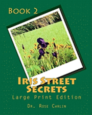 bokomslag Iris Street Secrets: Large Print Edition