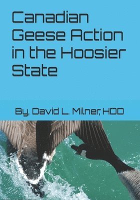 bokomslag Canadian Geese Action in the Hoosier State