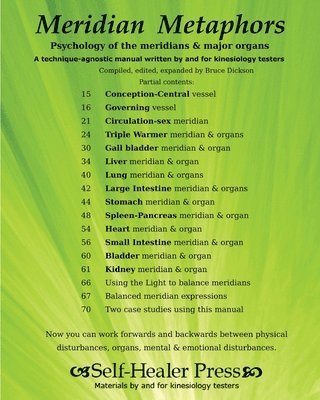 bokomslag Meridian Metaphors: Psychology of the meridians and major organs