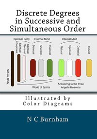 bokomslag Discrete Degrees in Successive and Simultaneous Order