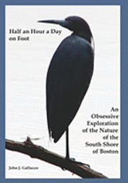 bokomslag Half an Hour a Day on Foot: An Obsessive Exploration of the Nature and History of the South Shore of Boston