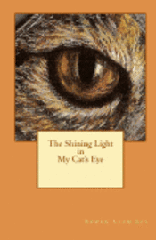 The Shining Light in My Cat's Eye 1