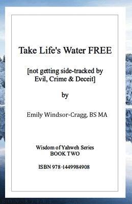 bokomslag Take Life's Water Free: Not Getting Sidetracked by Evil & Crime.