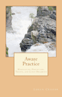 bokomslag Aware Practice: Meditation, Perception, Trance, and Lucid Dreaming