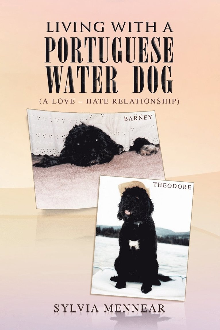 Living with a Portuguese Water Dog 1