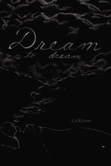 bokomslag Dream to Dream