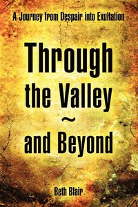 bokomslag Through the Valley and Beyond