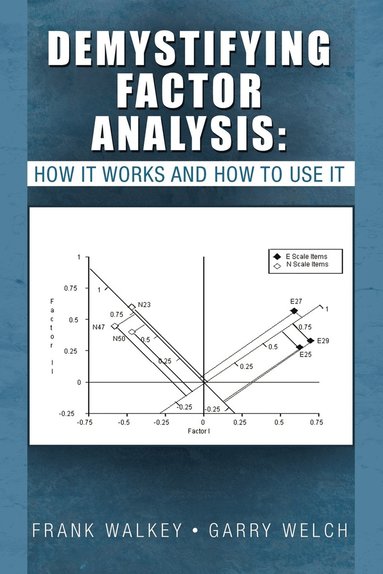 bokomslag Demystifying Factor Analysis