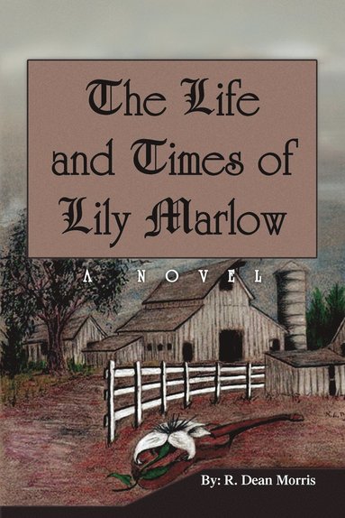 bokomslag Life and Times of Lily Marlow