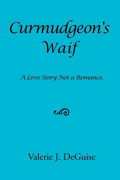 bokomslag Curmudgeon's Waif