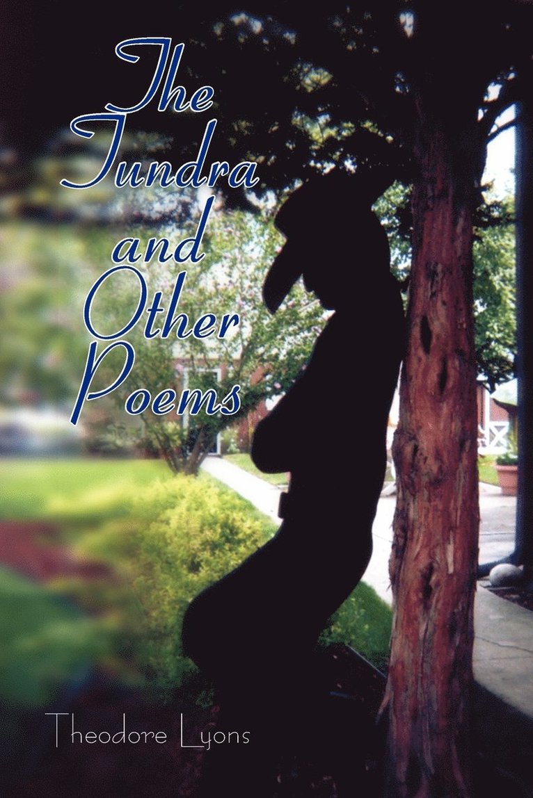 Theodore Lyons - Tundra and Other Poems, Häftad
