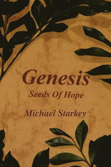 bokomslag Genesis