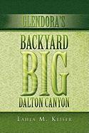 bokomslag Glendora's Backyard Big Dalton Canyon