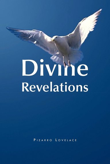 bokomslag Divine Revelations