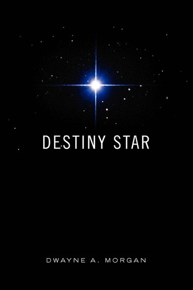 bokomslag Destiny Star