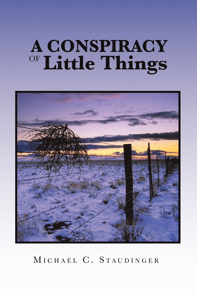Conspiracy of Little Things 1