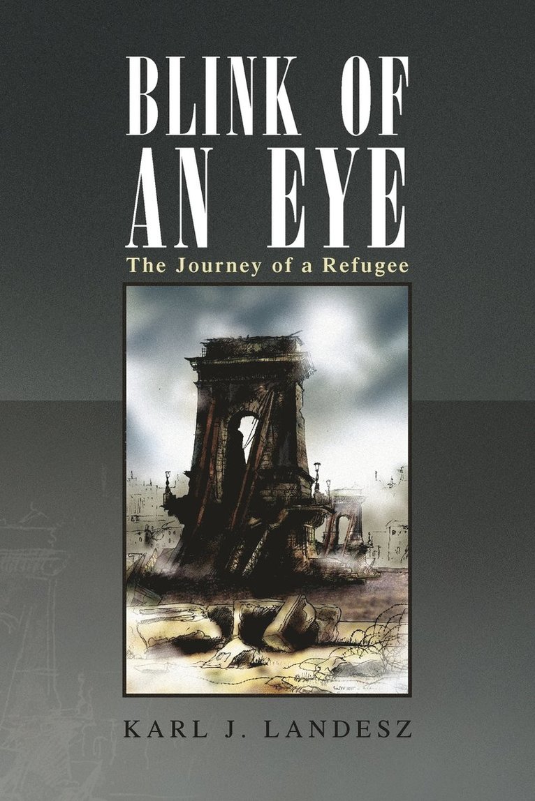 Karl J Landesz, Karl J. Landesz - Blink of an Eye, Häftad