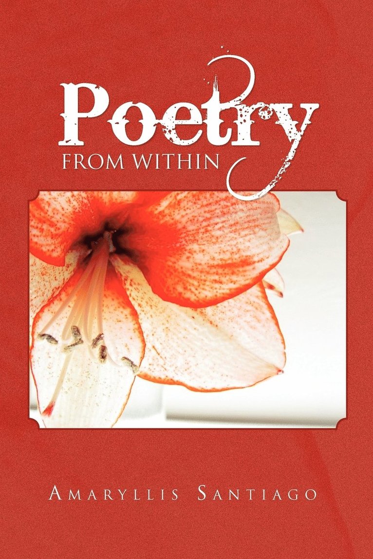 Amaryllis Santiago - Poetry from Within, Häftad