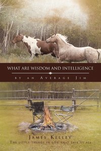bokomslag What Are Wisdom and Intelligence