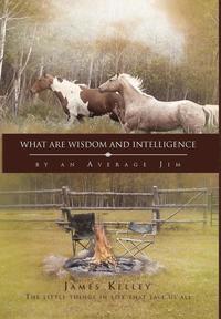 bokomslag What Are Wisdom and Intelligence
