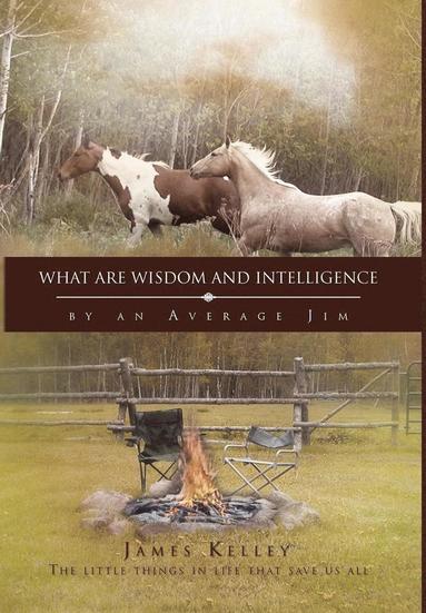 bokomslag What Are Wisdom and Intelligence