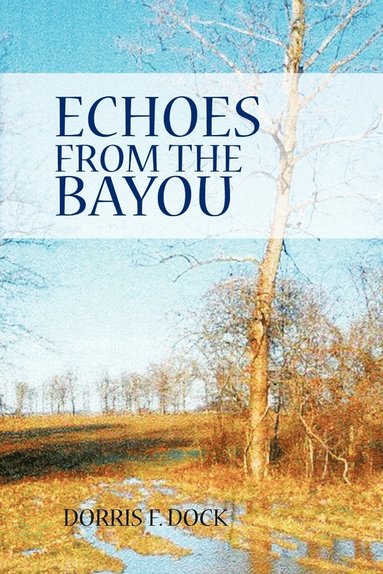 bokomslag Echoes from the Bayou